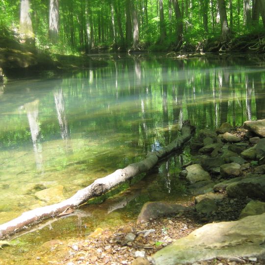 Panther Den Wilderness