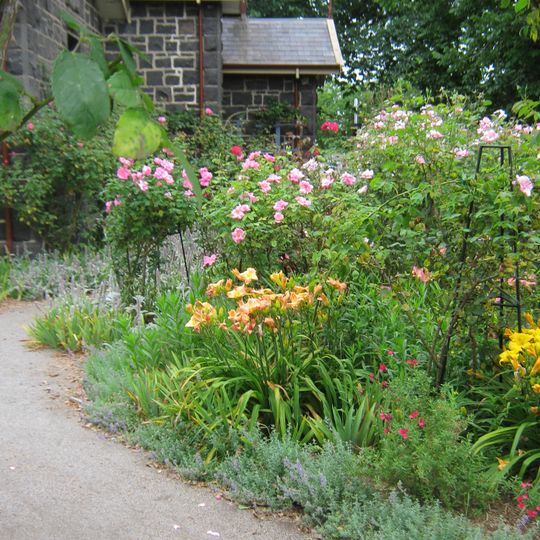Alister Clark Memorial Rose Garden