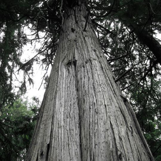 South Whidbey State Park