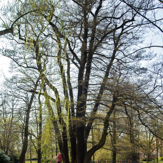 Lávka na jižní straně severního jezera v Husových sadech v Sokolově