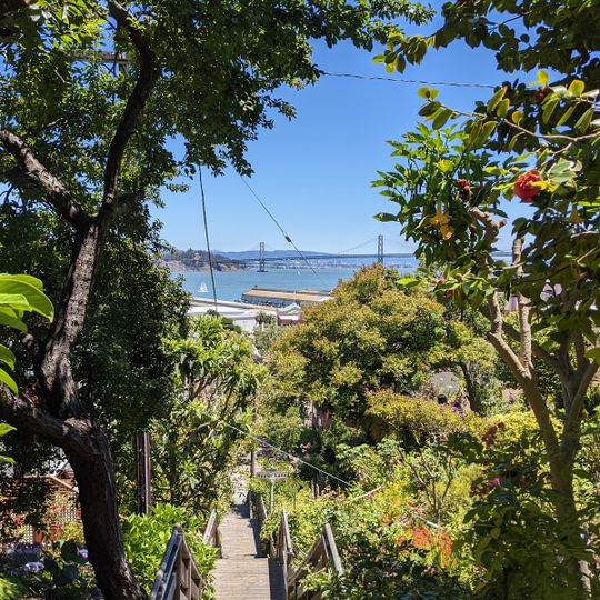 Grace Marchant Garden