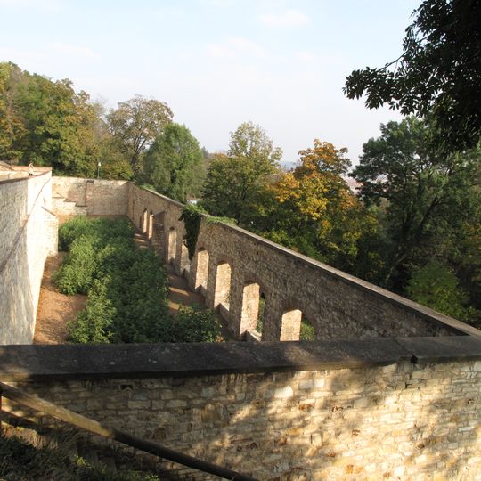 Инжирный сад