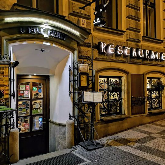 Bílá kráva