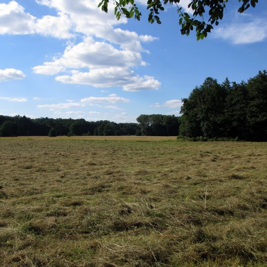 Scheftheimer Wiesen bei Darmstadt