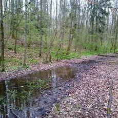 Feuchtbiotop Gelbrunn Gemeindewald Distr. II Gelbrunn