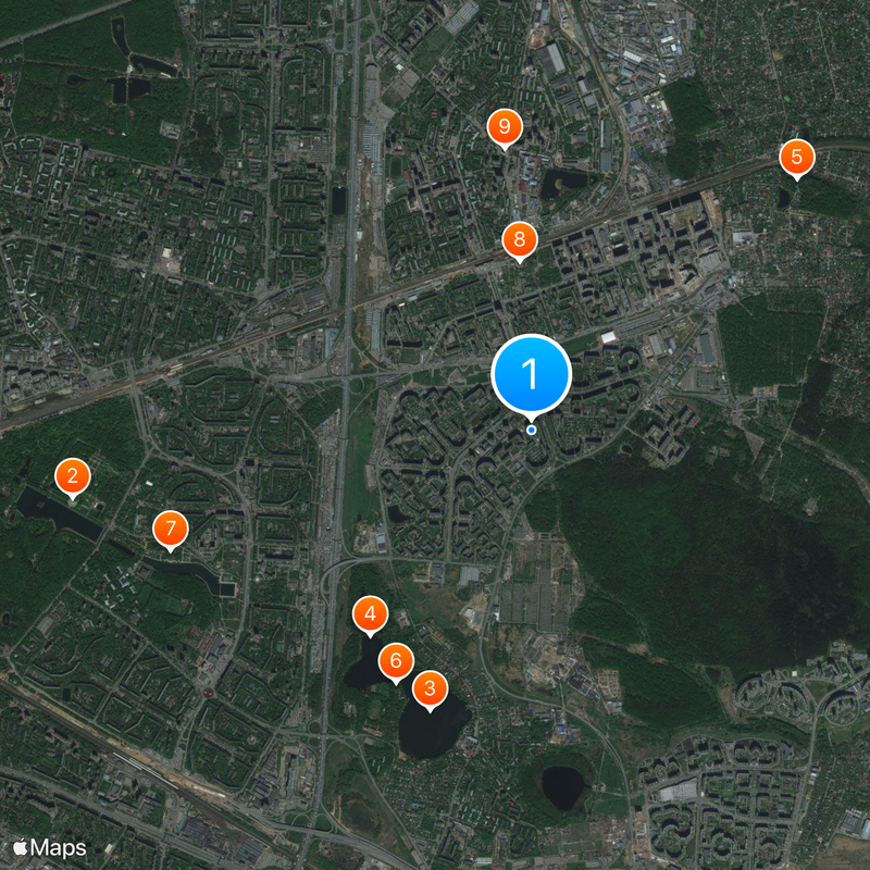 Novokosino District Map