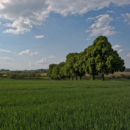 Lindenalle-Haldenäcker
