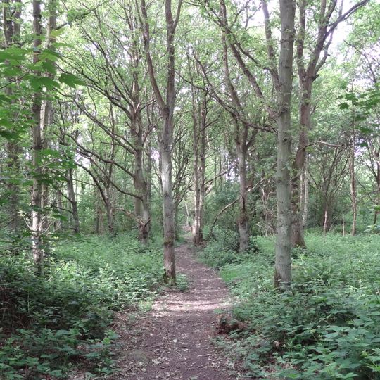 Stanmore Country Park
