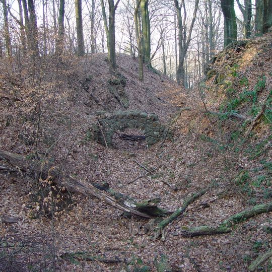Steinbruch im Kothener Busch