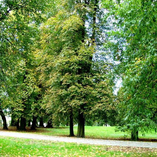 Manor park in Wojnowo, Bydgoszcz County