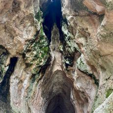 The Womb