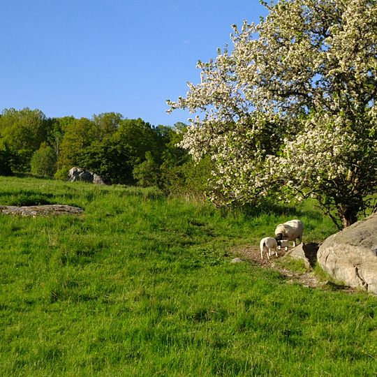 Västerby lövskogar