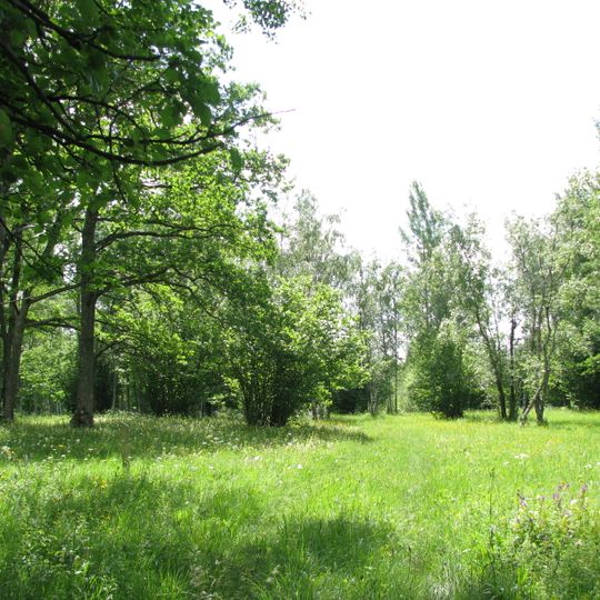 Nedrema Nature Reserve