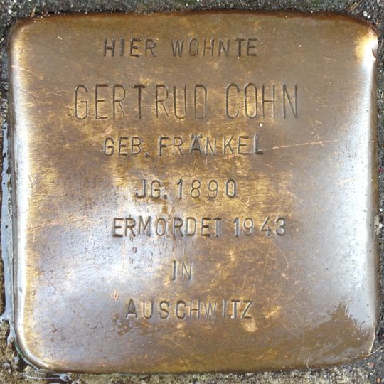 Stolperstein dedicated to Gertrud Cohn