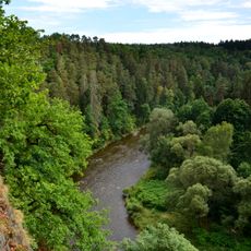 Vltava u Blanského lesa