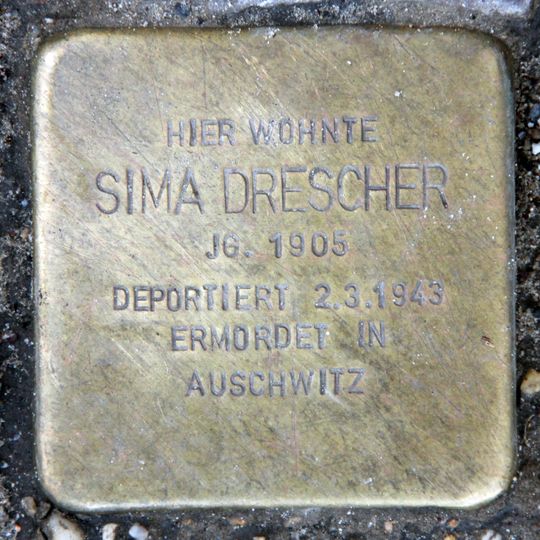Stolperstein dedicated to Sima Drescher