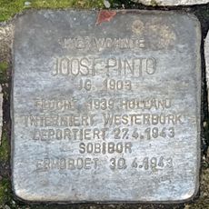 Joost Pinto