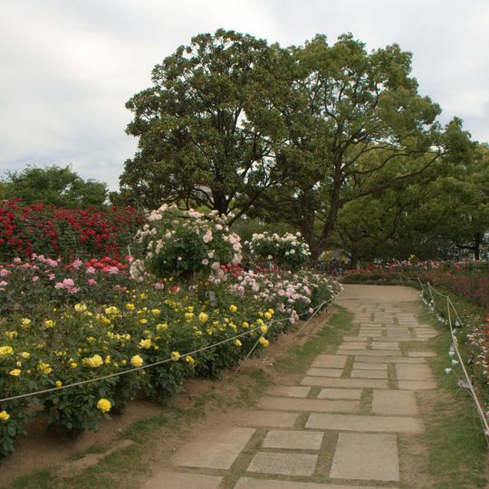 Fukuyama Rose Park