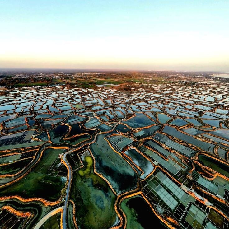 Marais Salants de Guérande