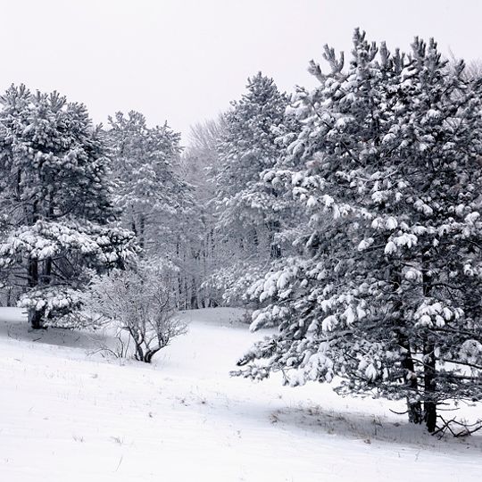 Ussurisky Nature Reserve