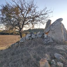 Antas do Pinheiro do Campo