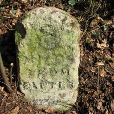 Milestone, SE corner of a wood, between Woodbury and cross roads on common