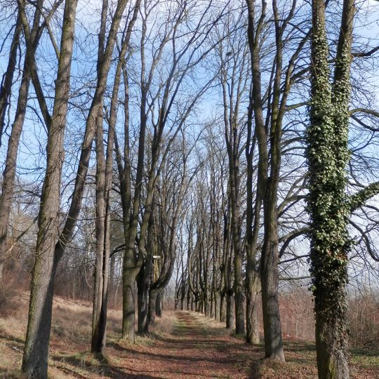 Kaštieľ Pillerovcov, park