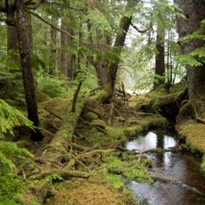 Parque Nacional Gwaii Haanas e Sítio Patrimonial Haida