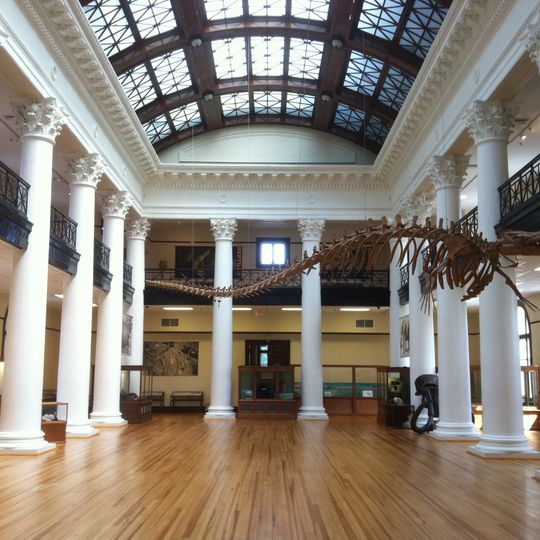 Alabama Museum of Natural History