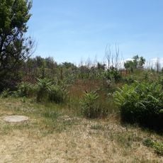 Tumuli - 2 - Chișinău, str. Grenoble, 209