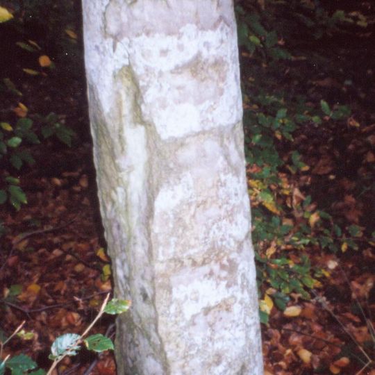 Milestone, Nettlebed Woods, half way down the straight