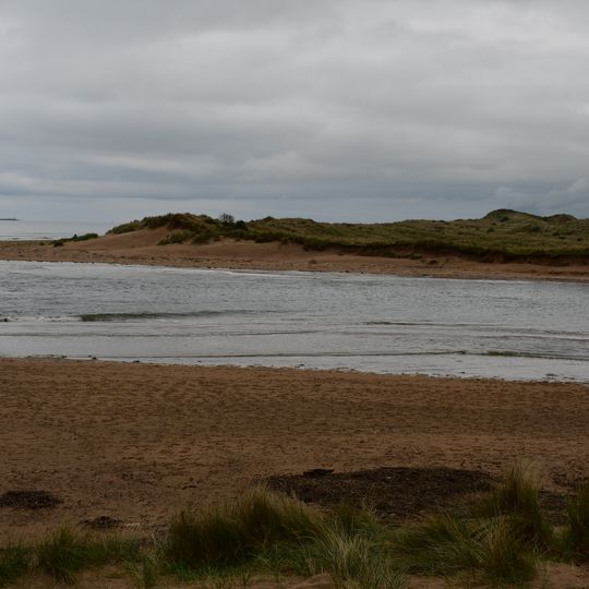 Alnmouth Saltmarsh and Dunes