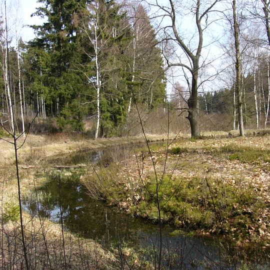 Ringwallanlage Elster