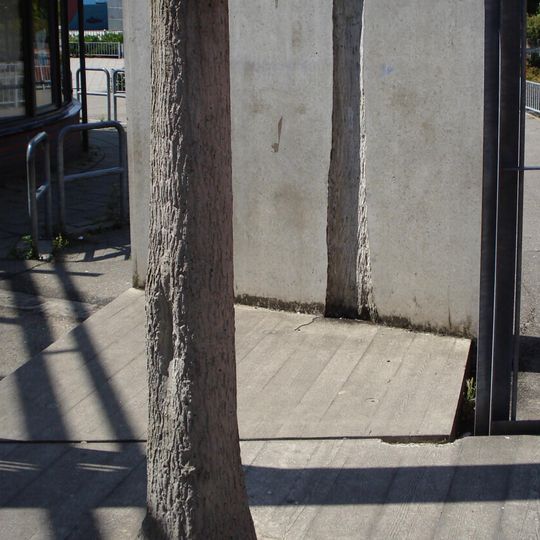 De schaduw van het beeld