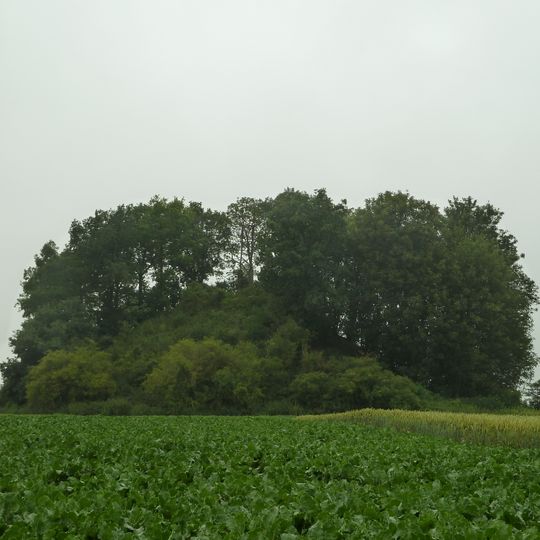 Tumulus d'Othée