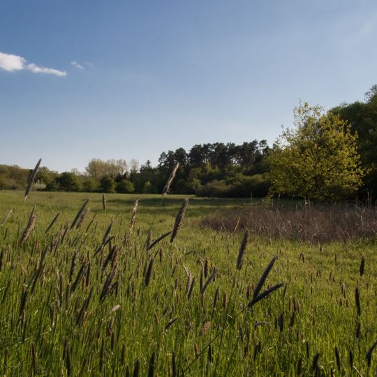 Nachtweide von Patershausen