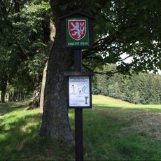 Alej na Anenský vrch