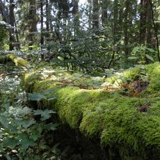 Nature reserve Las Warmiński