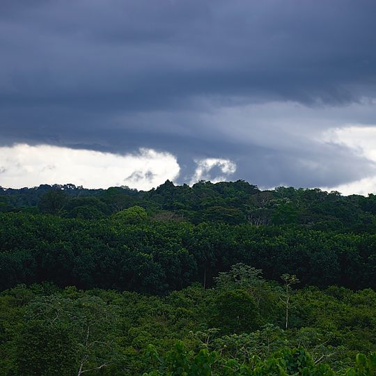Ankasa Conservation Area