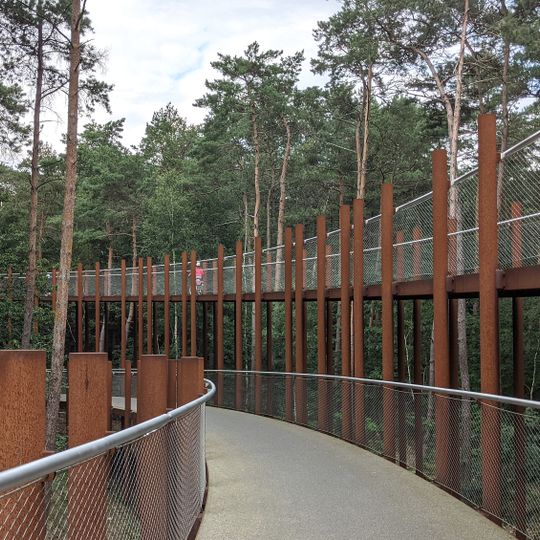 Fietsen door de Bomen