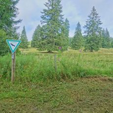 Kohlhütte-Lampenschweine