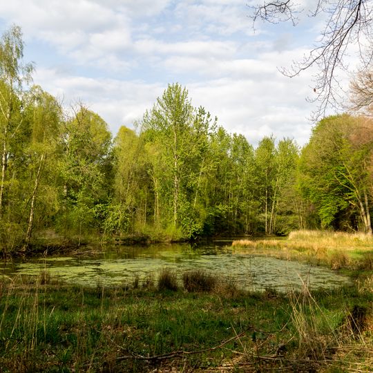 Wolbecker Tiergarten