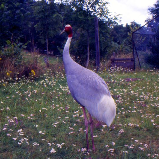 Parc zoologique du Livradois