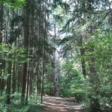 Tuzson Arboretum