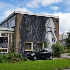 Muurschildering Emanuel van Meterenstraat