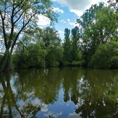 Teich am Tachenhauser Hof