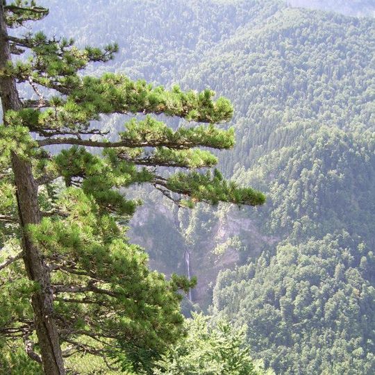 Sutjeska National Park