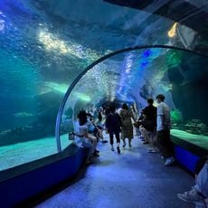 SEALIFE Busan Aquarium