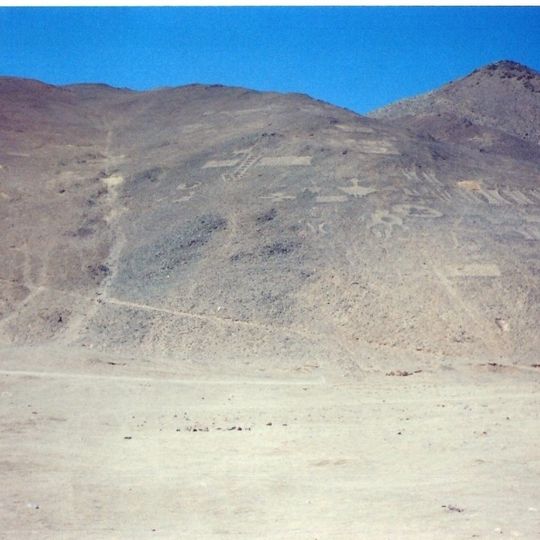 Pampa del Tamarugal National Reserve