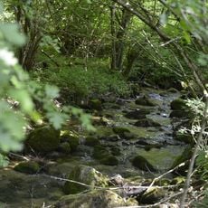 Riserva locale Lago di Pradellano